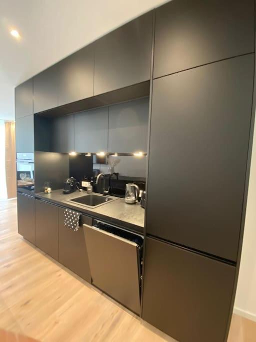 Apartment Atelierhaus Zentrum,ruhig,100 Meter Vom Rathausplatz *